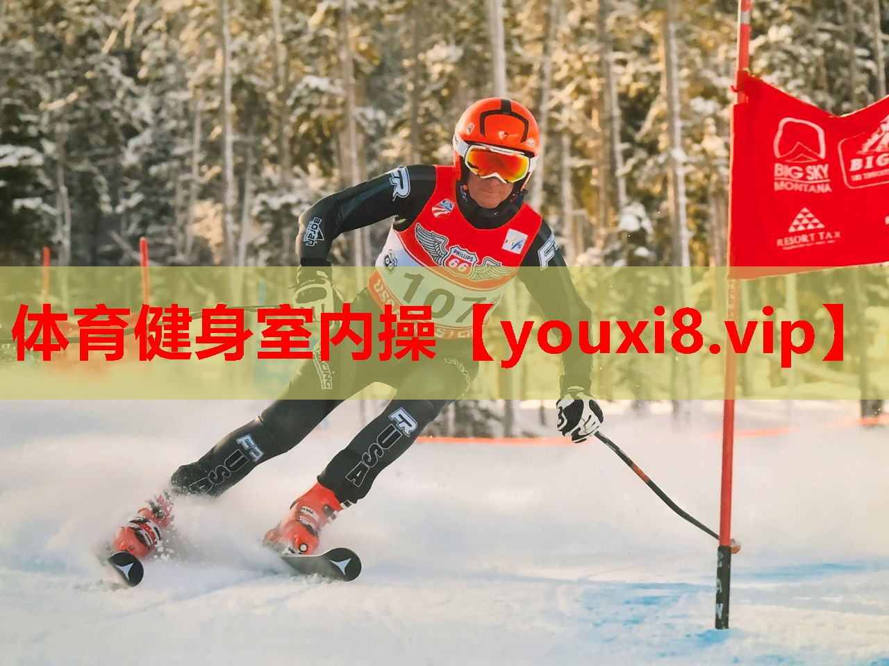 体育健身室内操