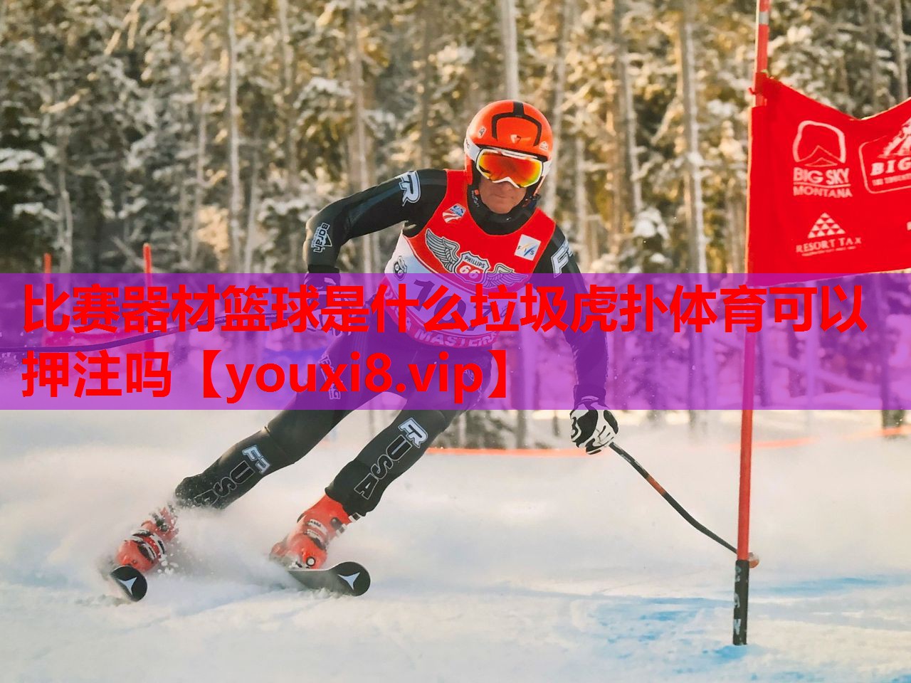 比赛器材篮球是什么垃圾虎扑体育可以押注吗