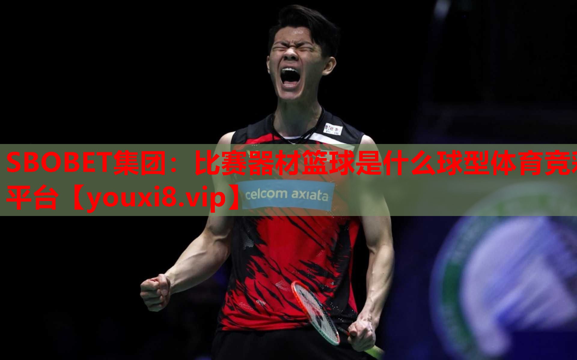 SBOBET集团：比赛器材篮球是什么球型体育竞彩平台