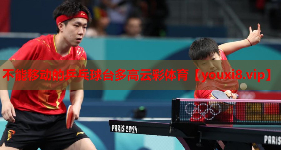 不能移动的乒乓球台多高云彩体育