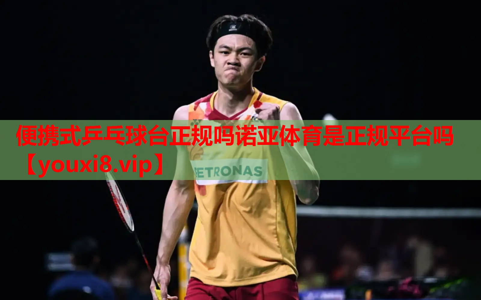 便携式乒乓球台正规吗诺亚体育是正规平台吗