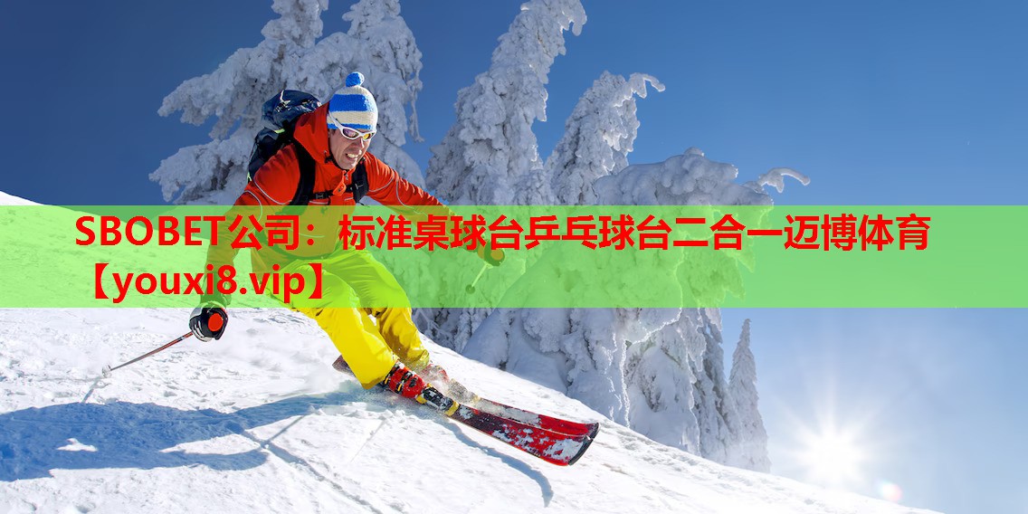 SBOBET公司：标准桌球台乒乓球台二合一迈博体育