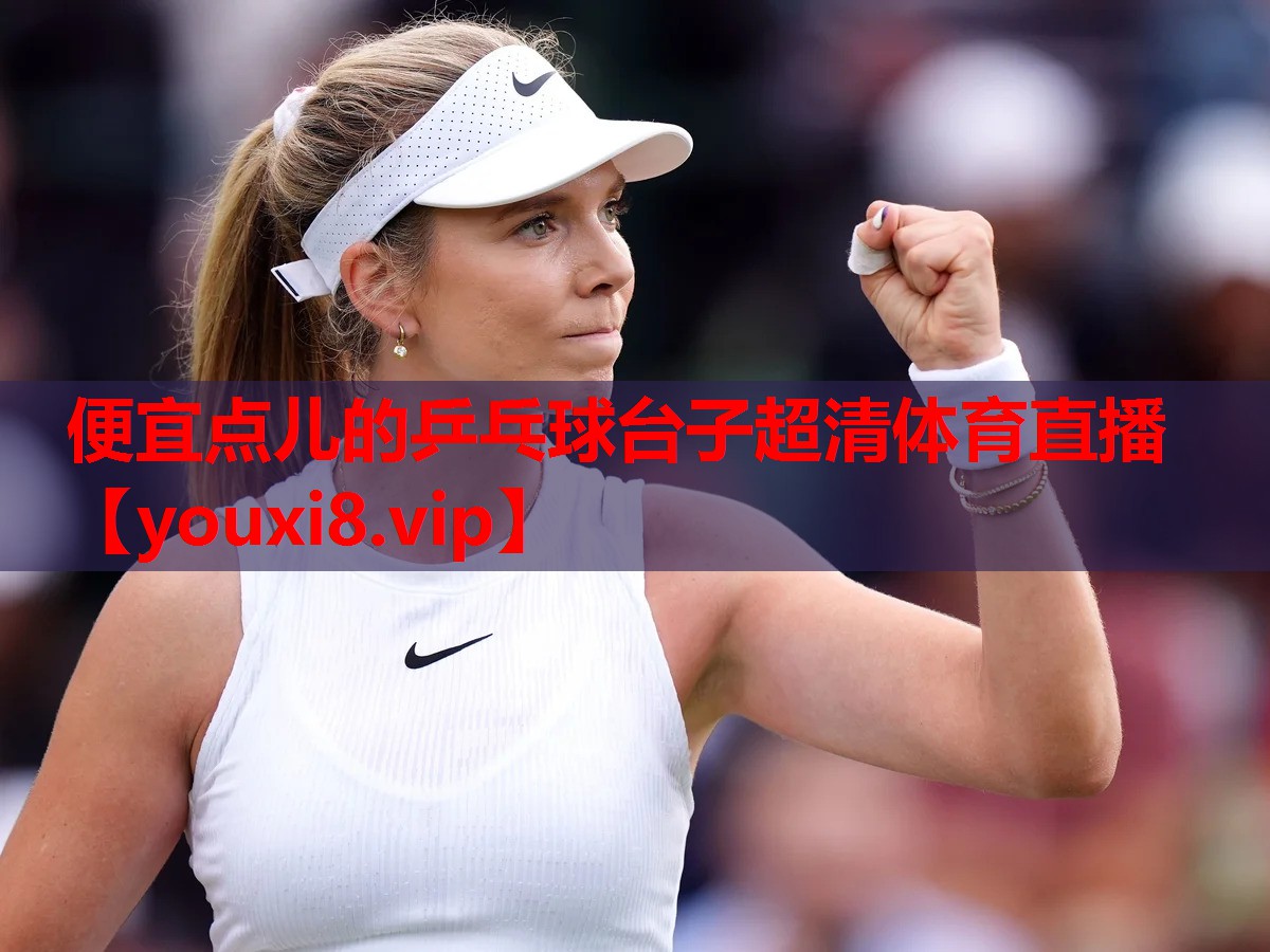 便宜点儿的乒乓球台子超清体育直播