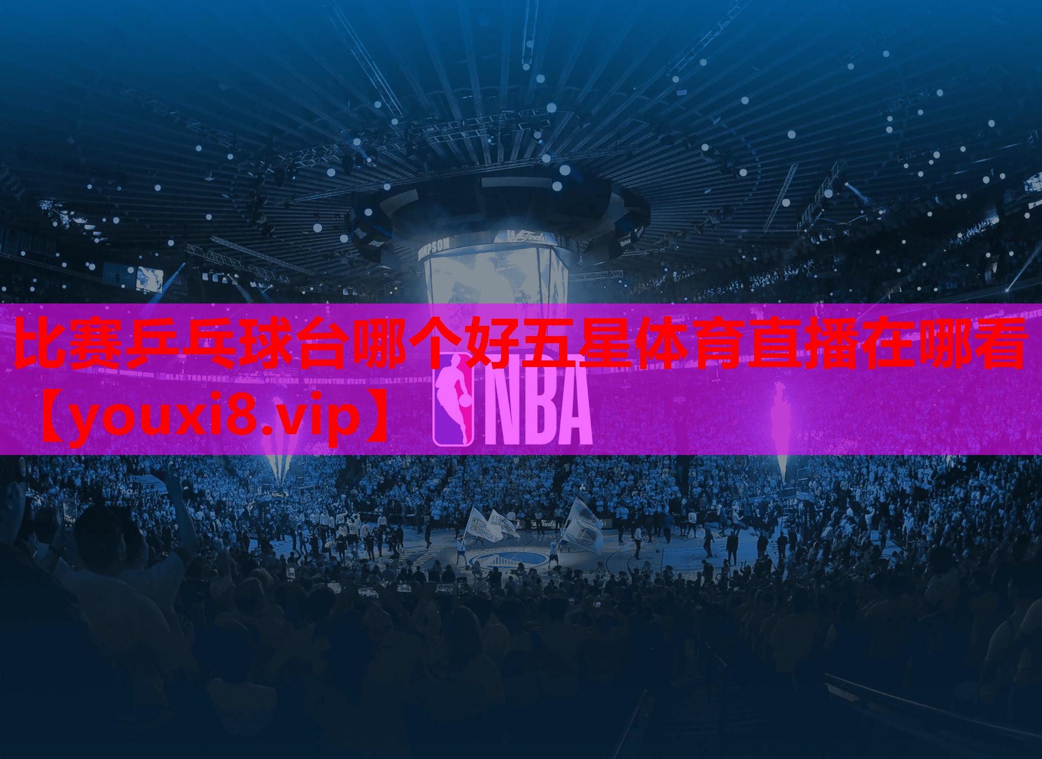 比赛乒乓球台哪个好五星体育直播在哪看