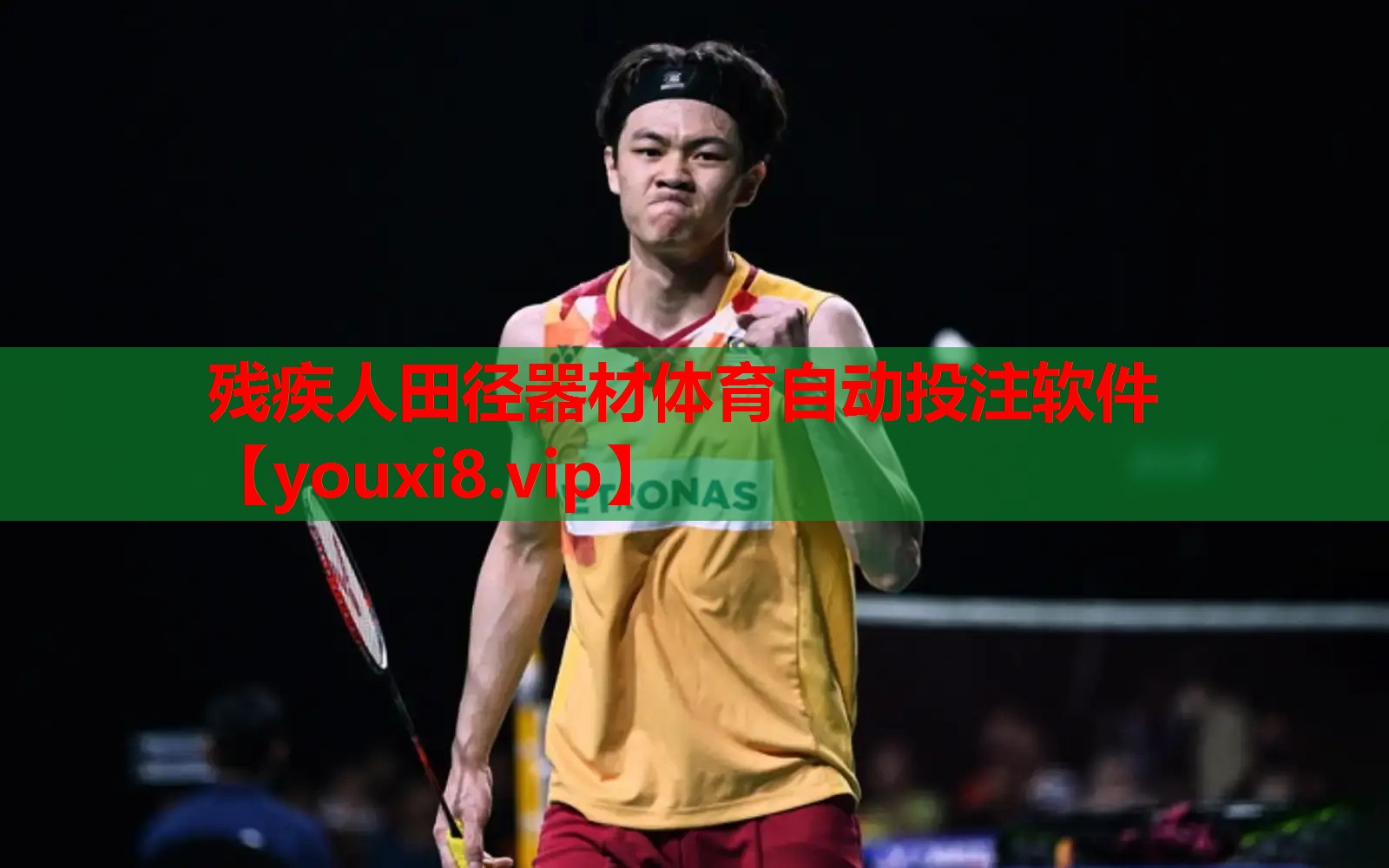 残疾人田径器材体育自动投注软件