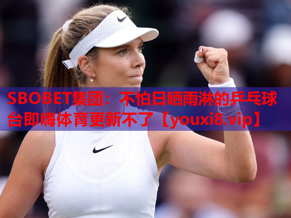 SBOBET集团：不怕日晒雨淋的乒乓球台即嗨体育更新不了