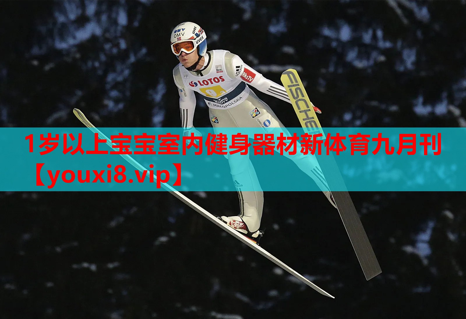 1岁以上宝宝室内健身器材新体育九月刊