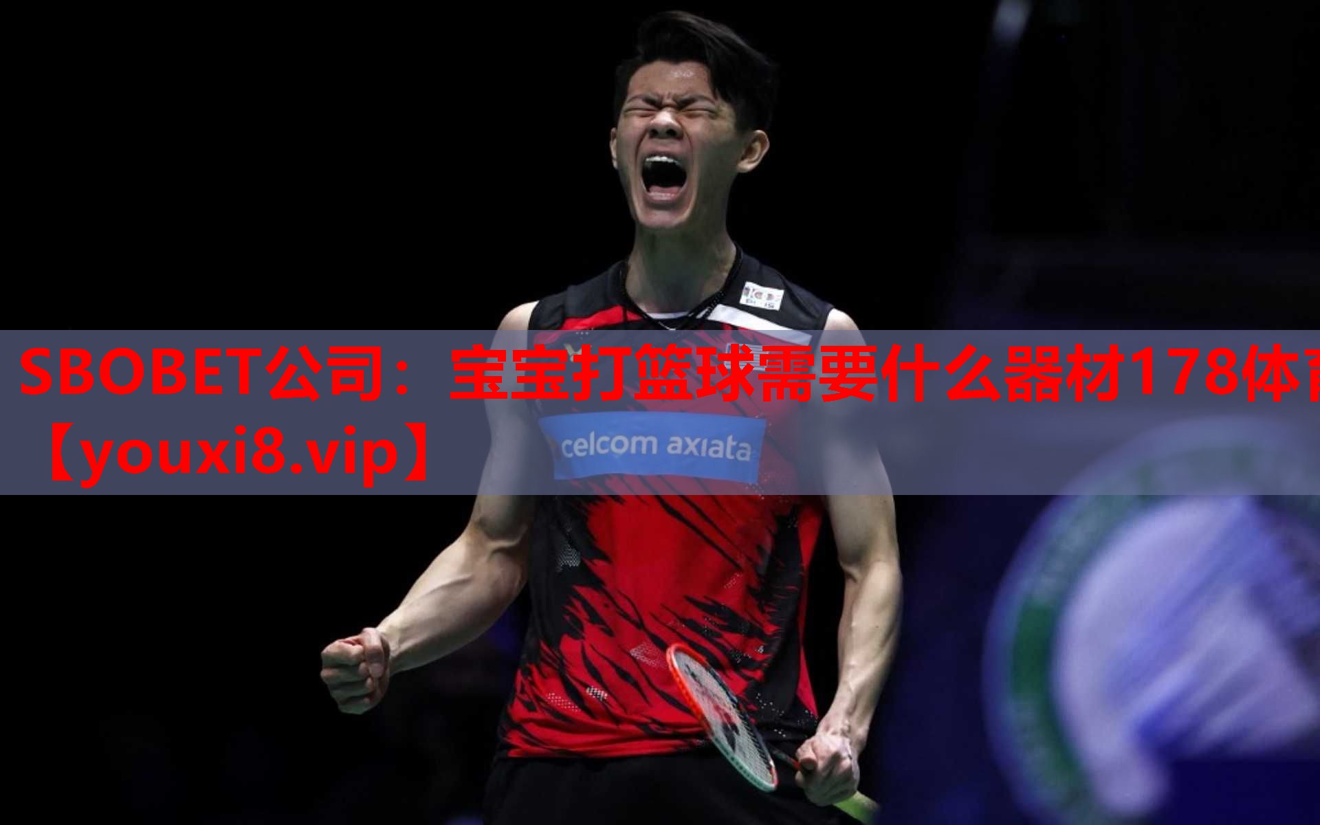 SBOBET公司：宝宝打篮球需要什么器材178体育