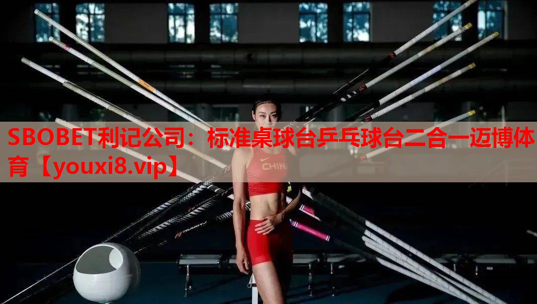 SBOBET利记公司：标准桌球台乒乓球台二合一迈博体育