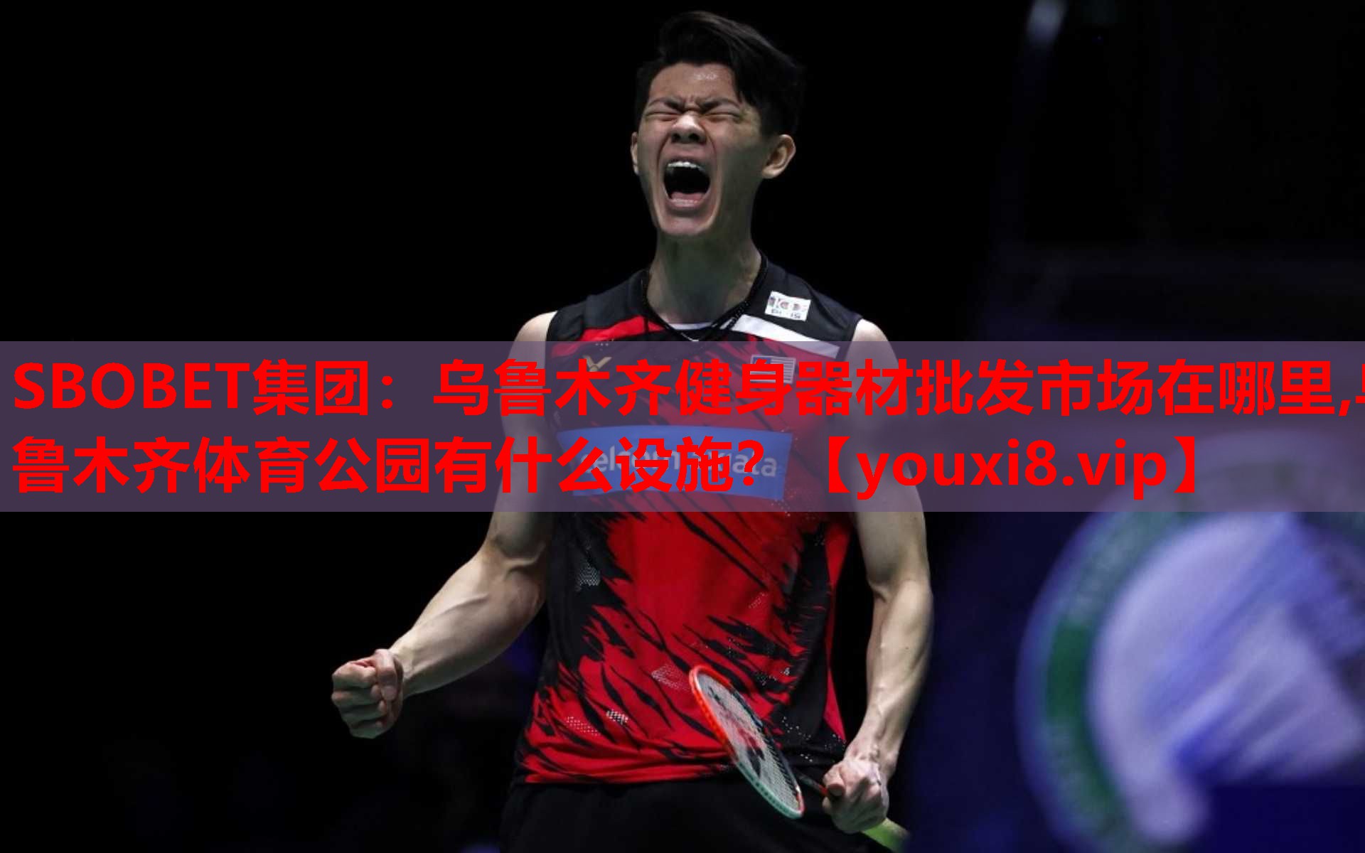 SBOBET集团：乌鲁木齐健身器材批发市场在哪里,乌鲁木齐体育公园有什么设施？