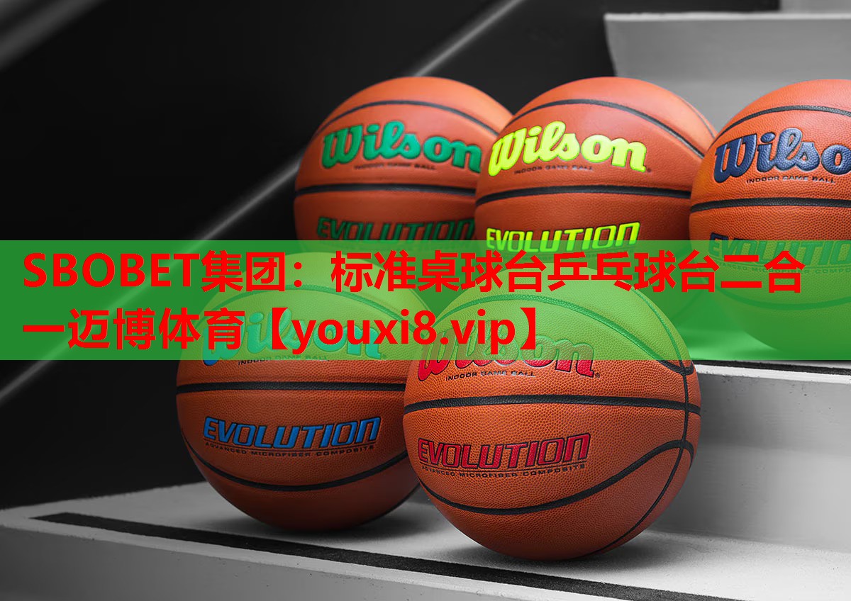 SBOBET集团：标准桌球台乒乓球台二合一迈博体育