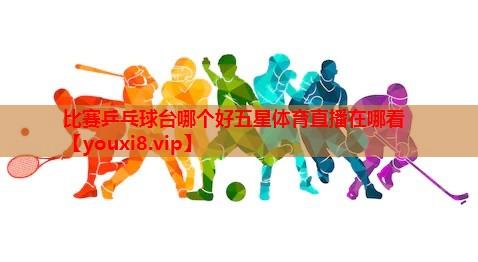 比赛乒乓球台哪个好五星体育直播在哪看