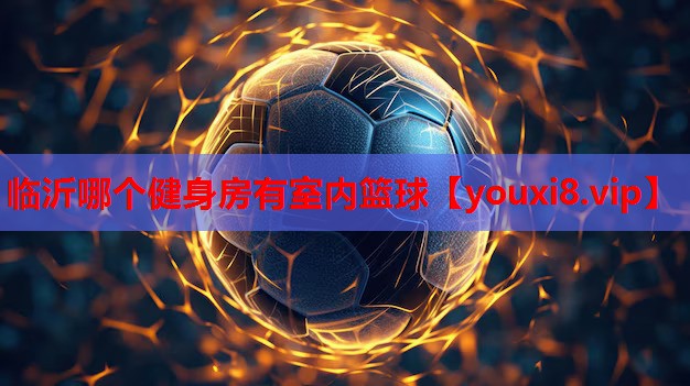 临沂哪个健身房有室内篮球