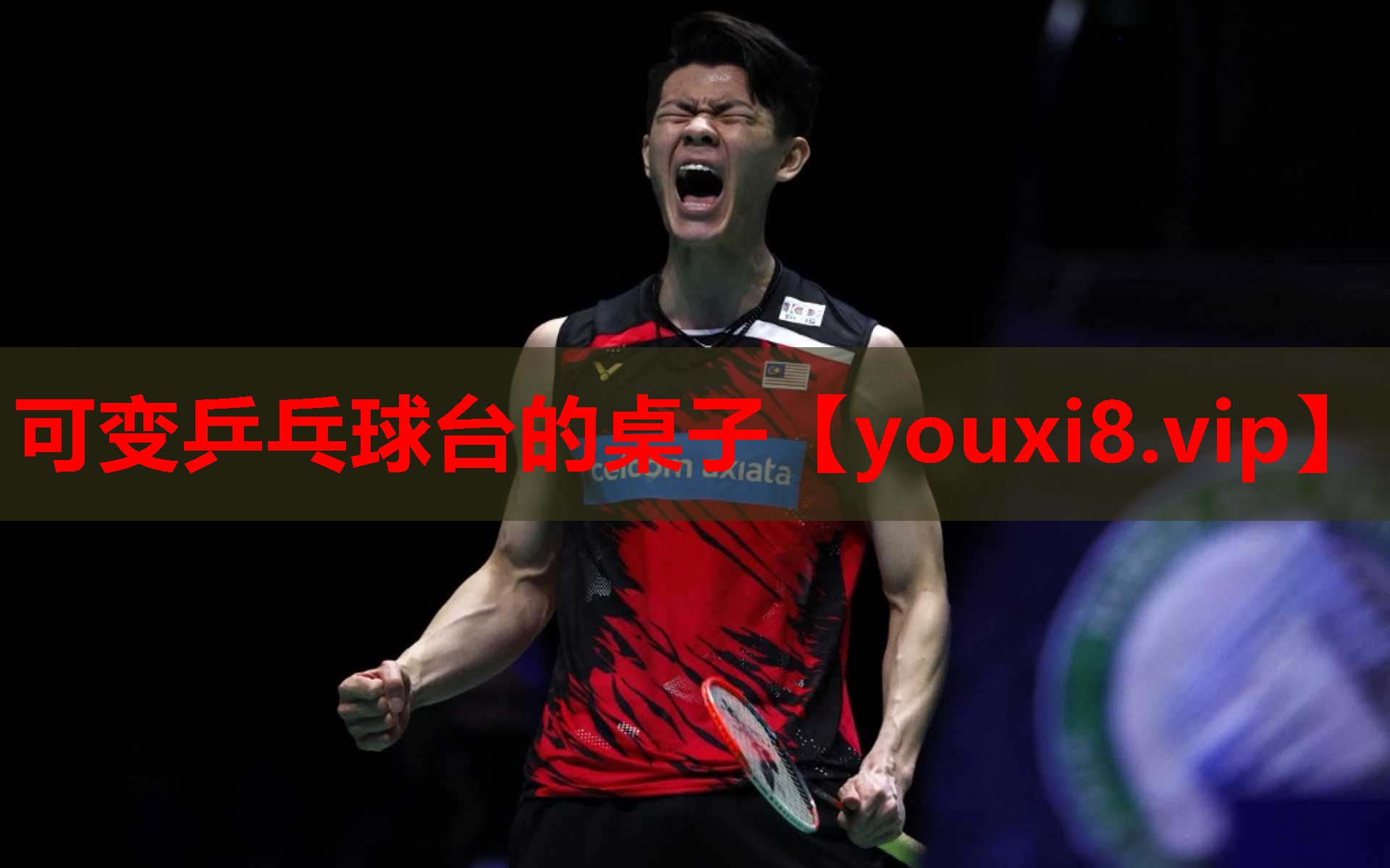 可变乒乓球台的桌子