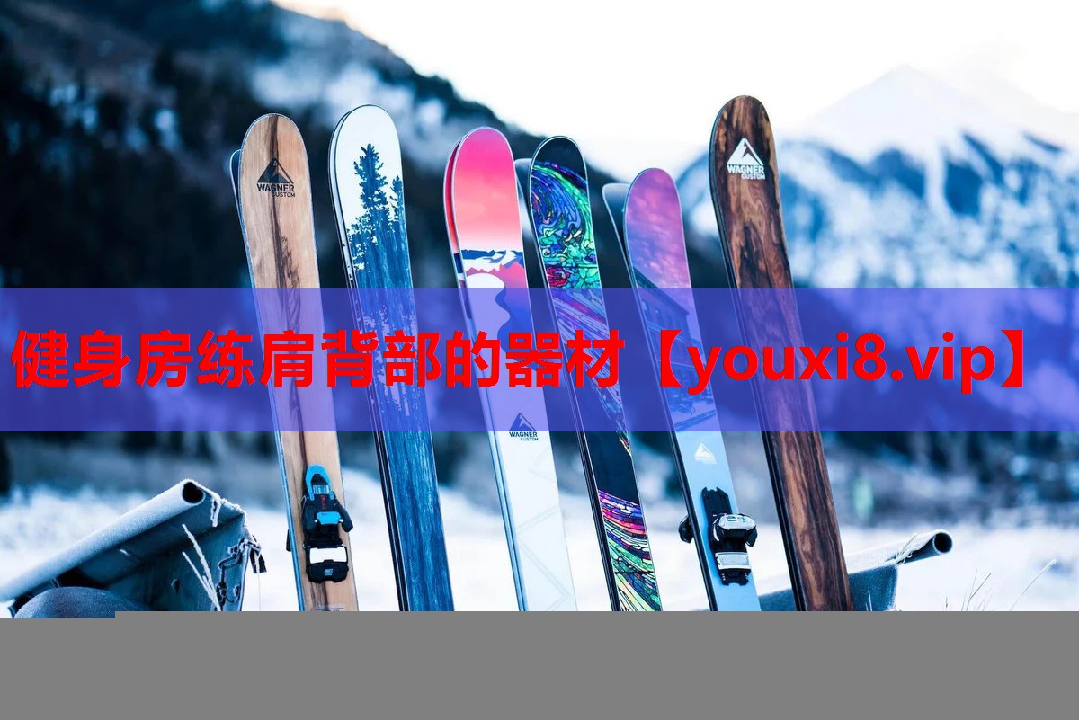 健身房练肩背部的器材