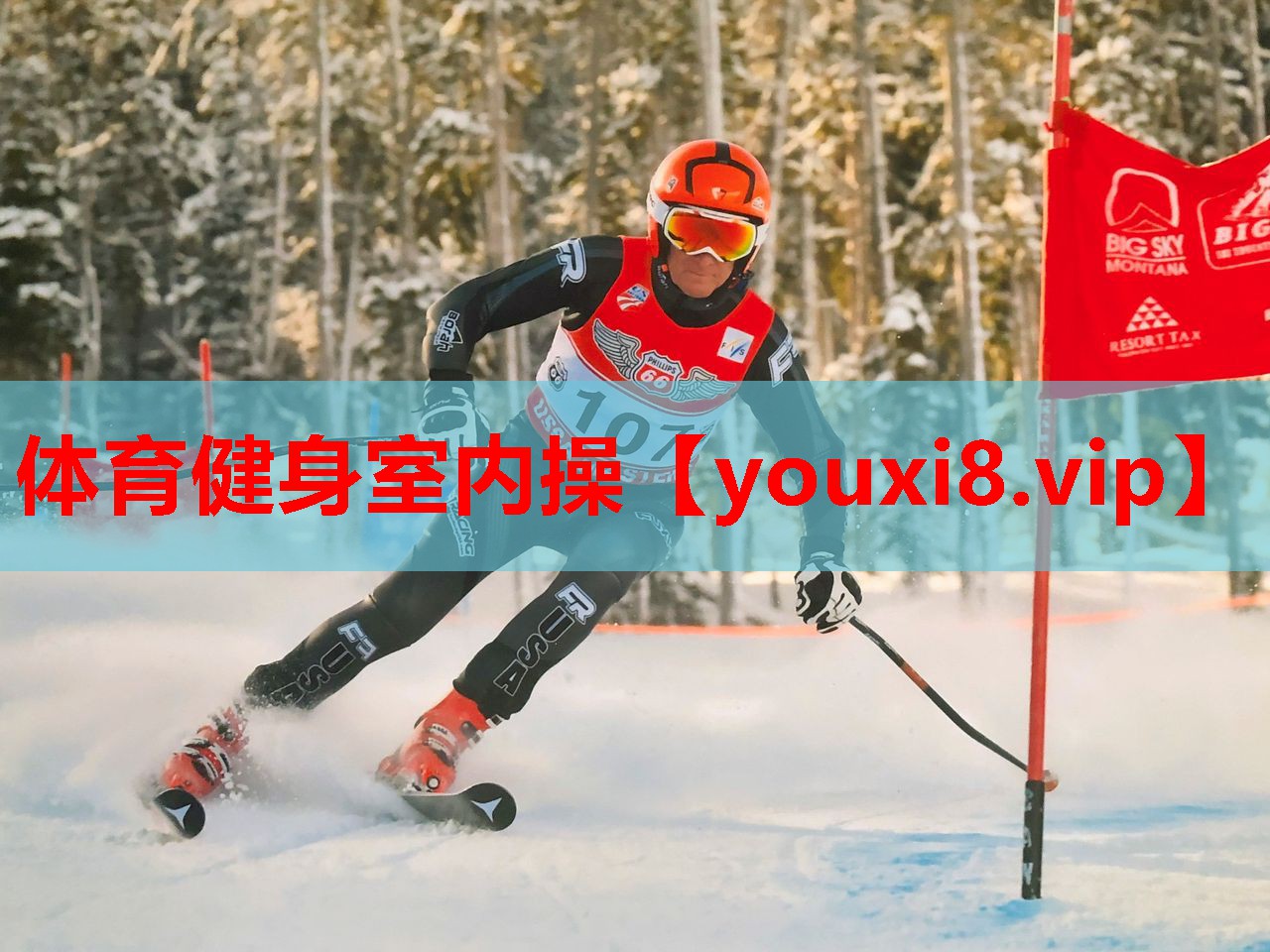 体育健身室内操