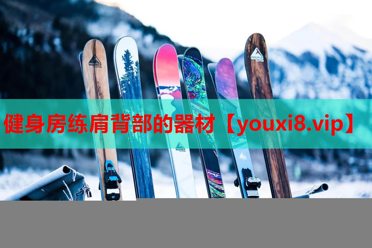 健身房练肩背部的器材